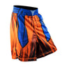 Kamesenryu Fight Shorts Tri-Titans custom wrestling gear